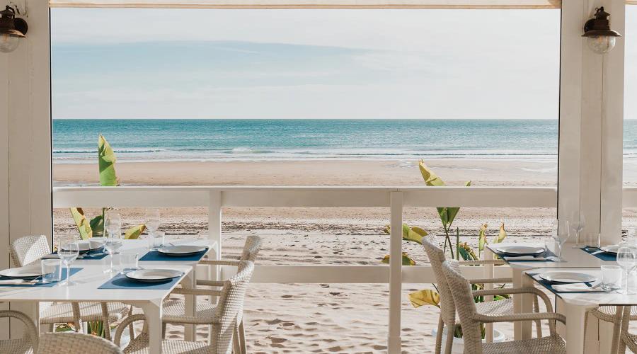 Vincci Hoteles Vincci Hoteles