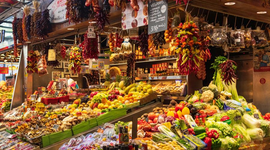 Vincci Hoteles Vincci Hoteles