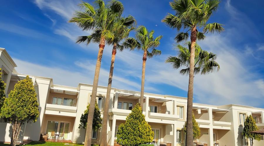 Vincci Hoteles Vincci Hoteles