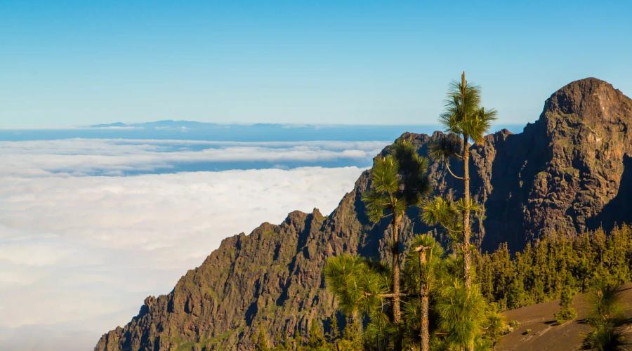 Vincci Hoteles Vincci Hoteles