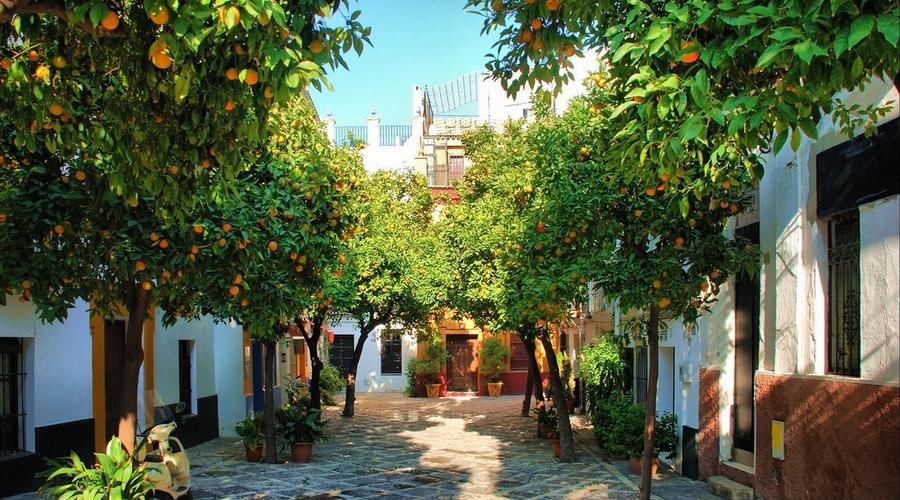 Vincci Hoteles Vincci Hoteles