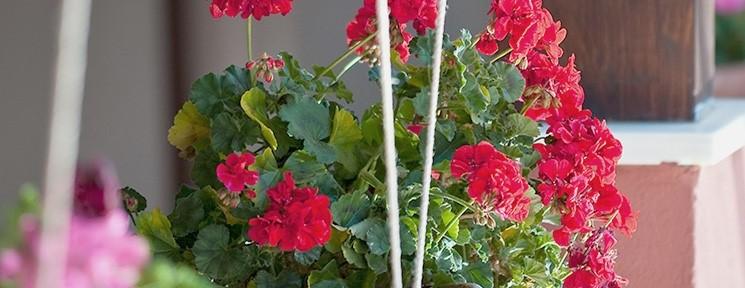 Vincci Hoteles Vincci Hoteles