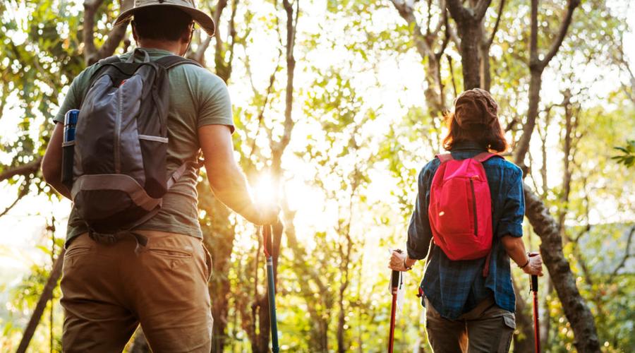 Vincci Hoteles Vincci Hoteles