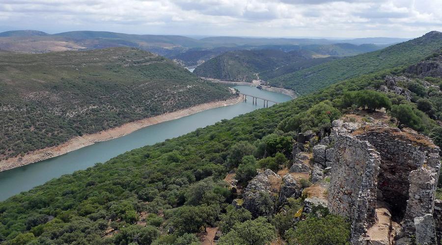 Vincci Hoteles Vincci Hoteles