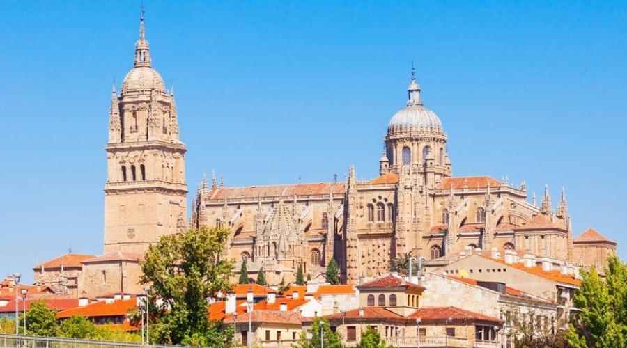 Vincci Hoteles Vincci Hoteles