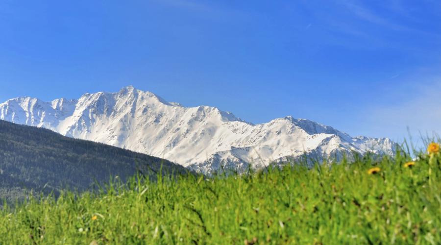 Vincci Hoteles Vincci Hoteles