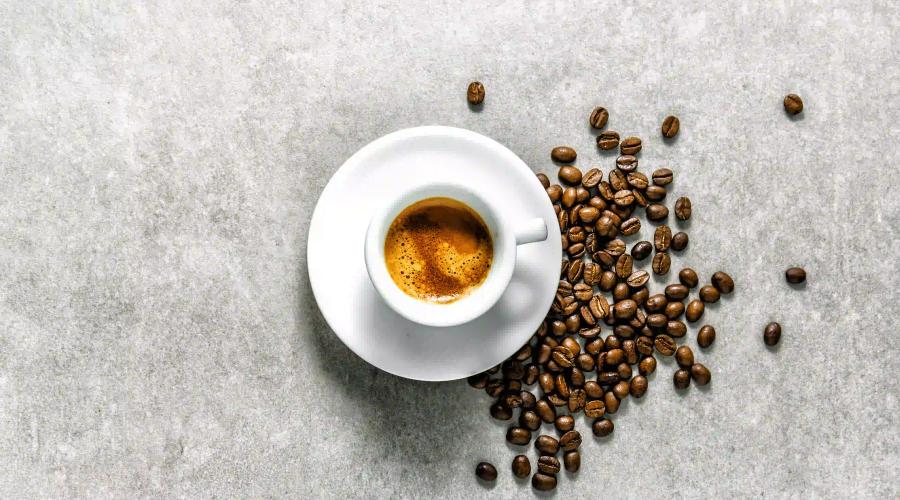 Vincci Hoteles Vincci Hoteles