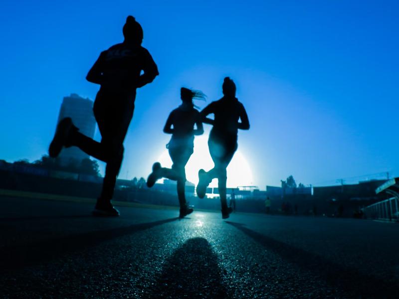 Sports areas Vincci Dar Midoun & Spa 4* Djerba Sports areas Vincci Dar Midoun & Spa 4* Djerba