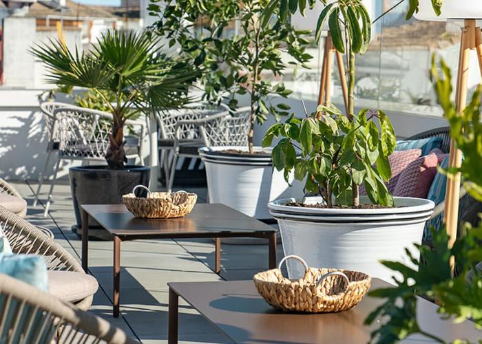 Terrace 1201 Vincci Molviedro 4* Sevilla Terrace 1201 Vincci Molviedro 4* Sevilla