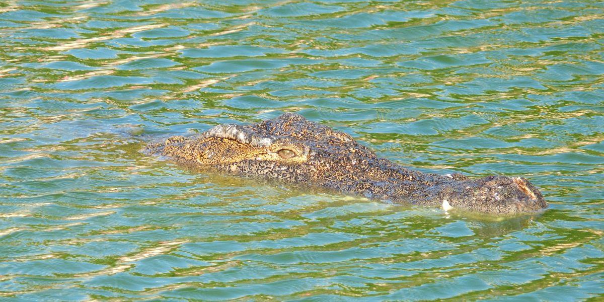 Djerba Explore Vincci Hoteles Djerba Explore Vincci Hoteles