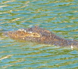 Djerba Explore Vincci Hoteles Djerba Explore Vincci Hoteles