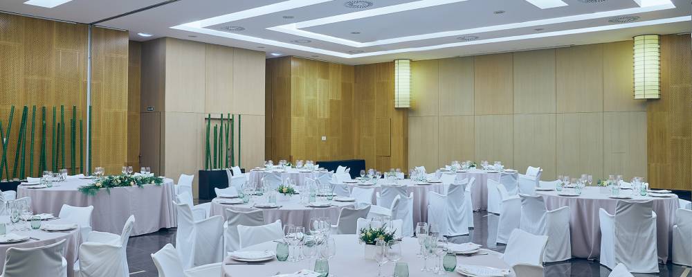 Meetings and Events - Vincci Zentro 4*