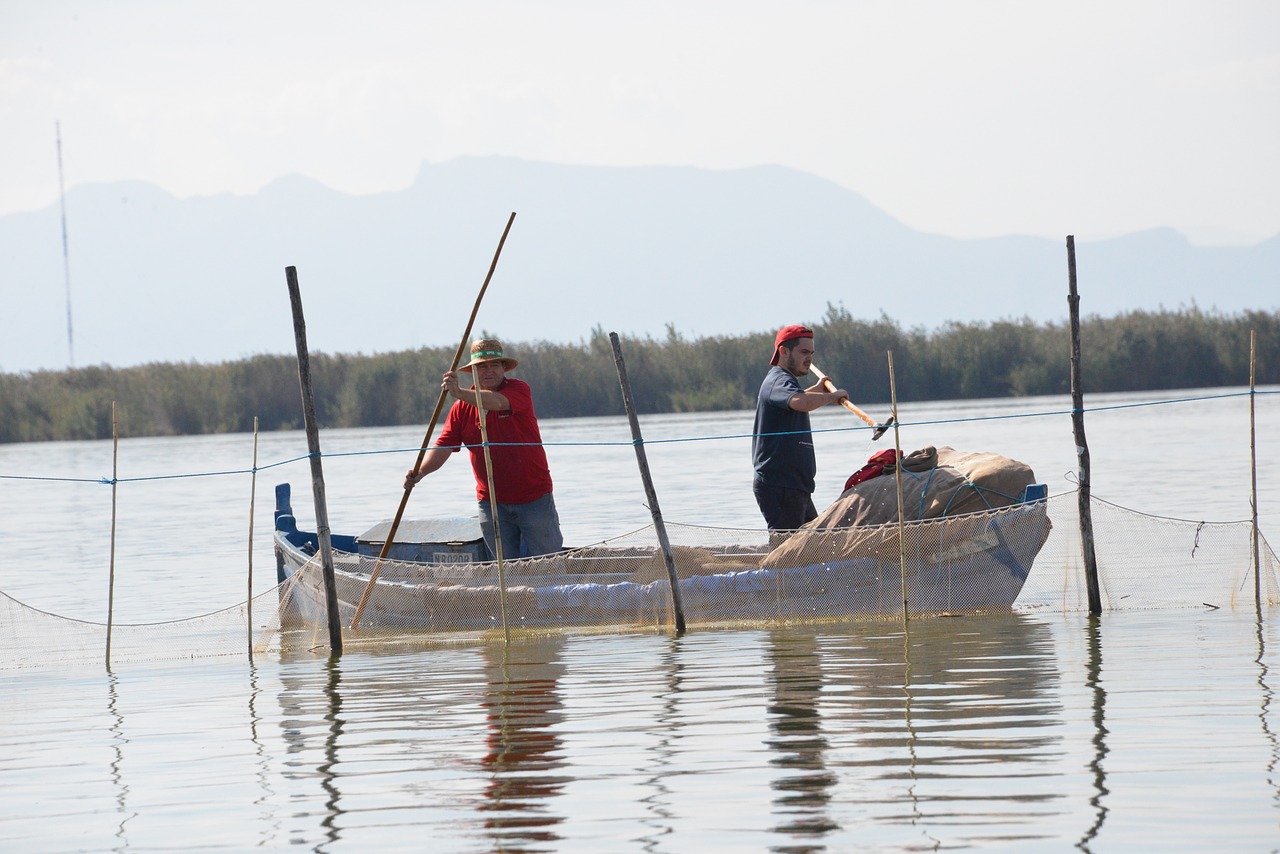 Paseo en barca por la Albufera de Valencia