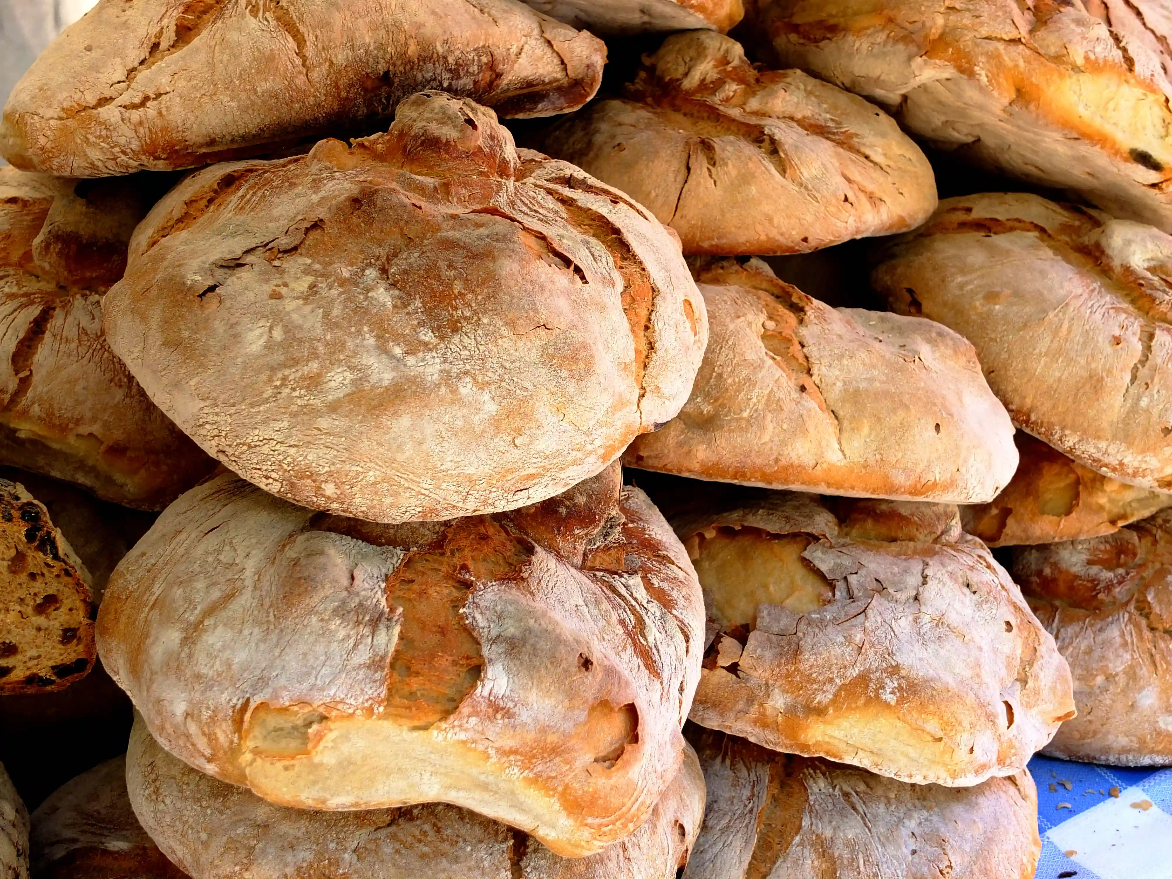 Hogaza (Galicia y Castilla y León)