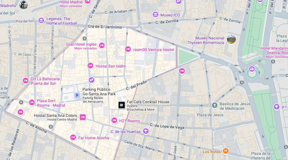 Location of Madrid's Barrio de las Letras - Google Maps