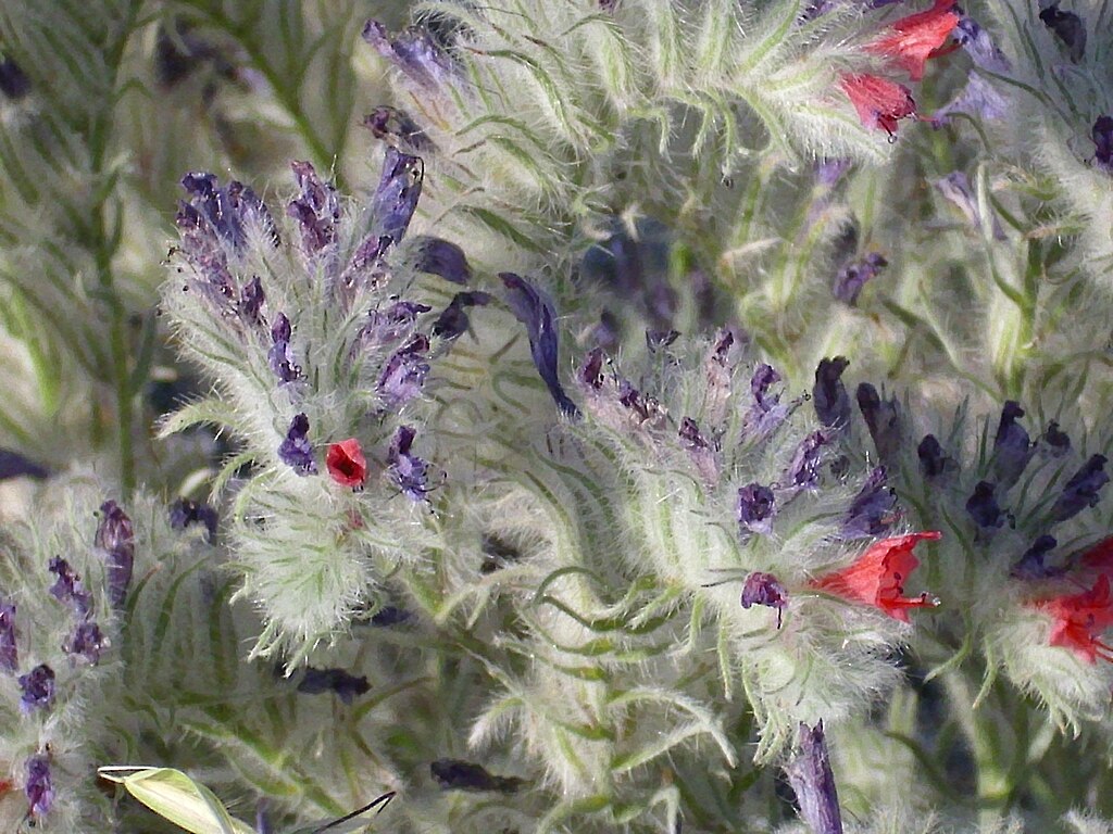 actividades con niños en Sierra Nevada