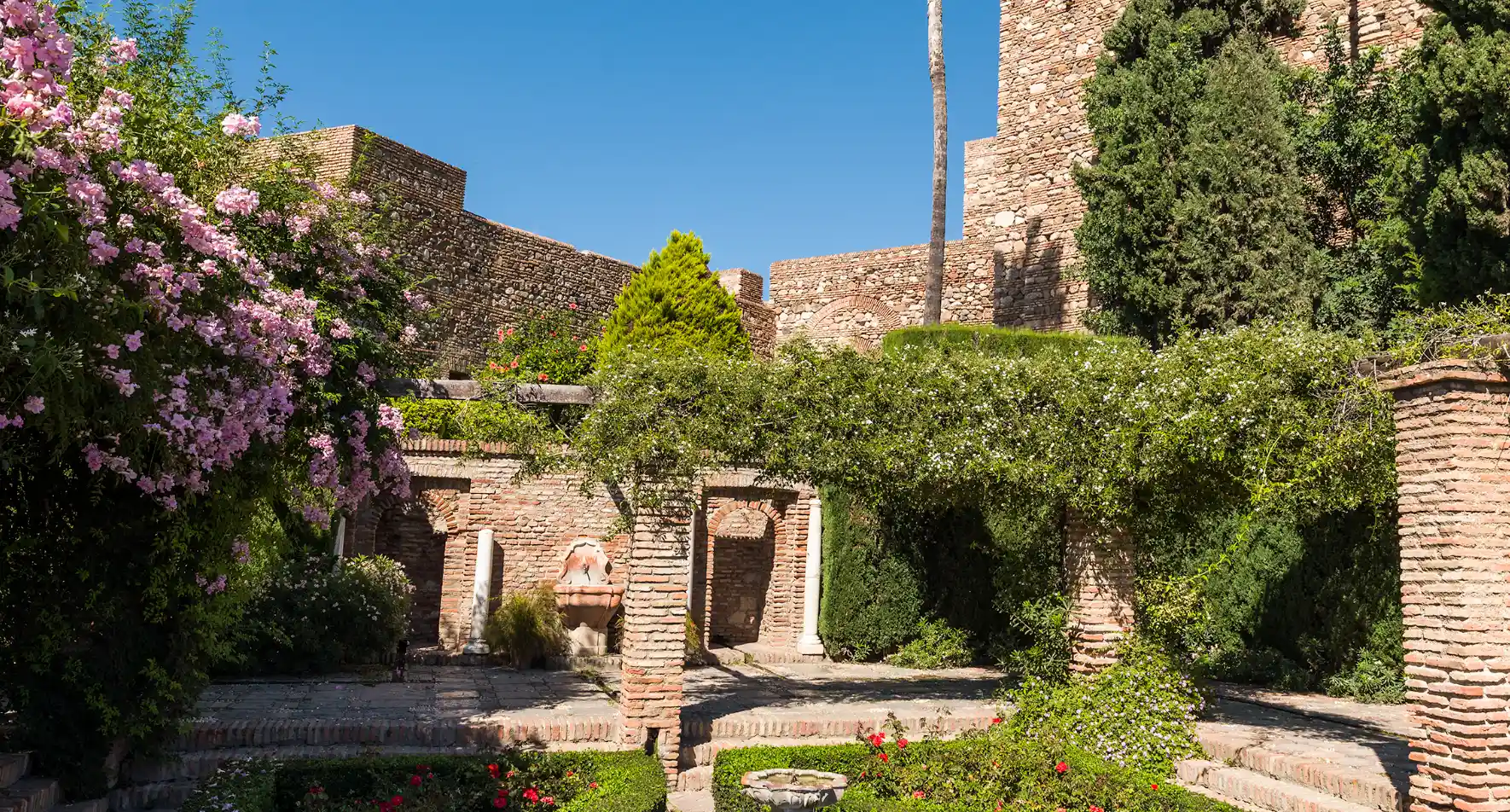 Plantas sobre las ruinas en la Alcazaba de Málaga