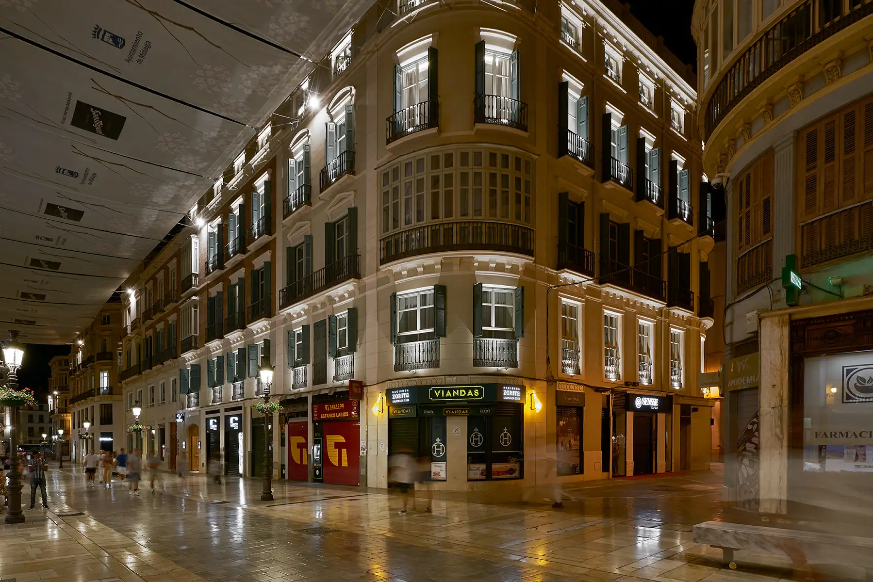 Hotel Vincci Larios Diez 4*
