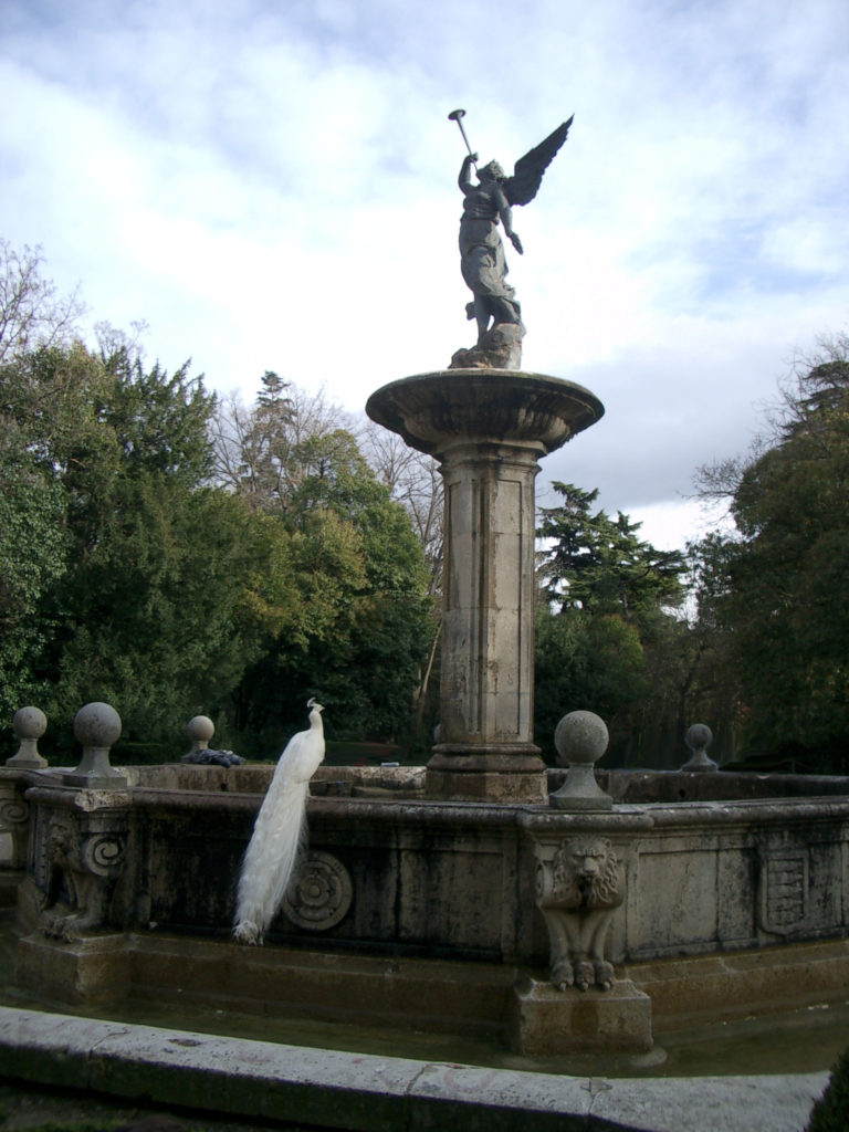 Pavo Real albino en el parque Campo Grande en Valladolid