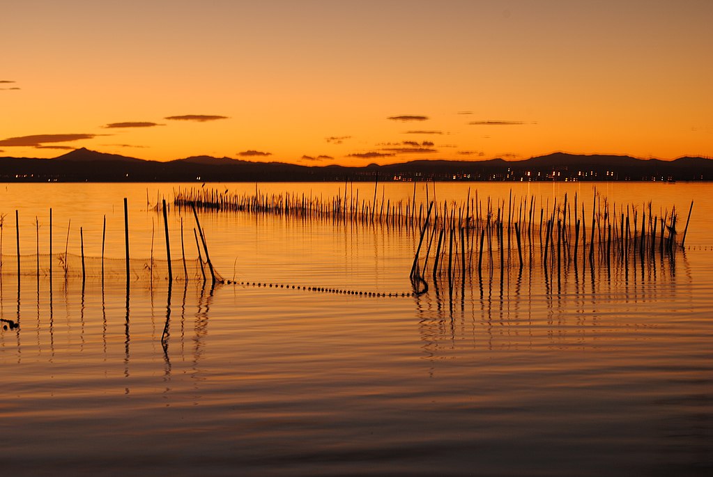 Albufera de Valencia