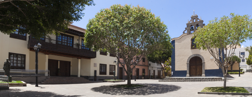 Almácigo centenario de Arona