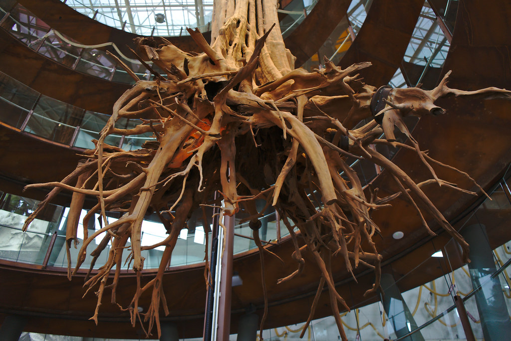 Obra en CosmoCaixa Barcelona
