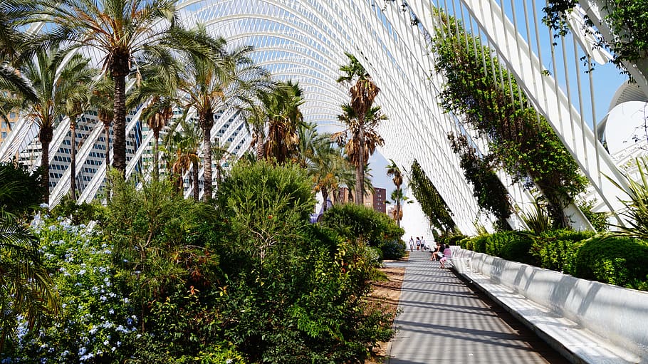 jardin botanico valencia