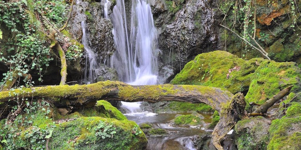 Parque Natural de Gorbeia