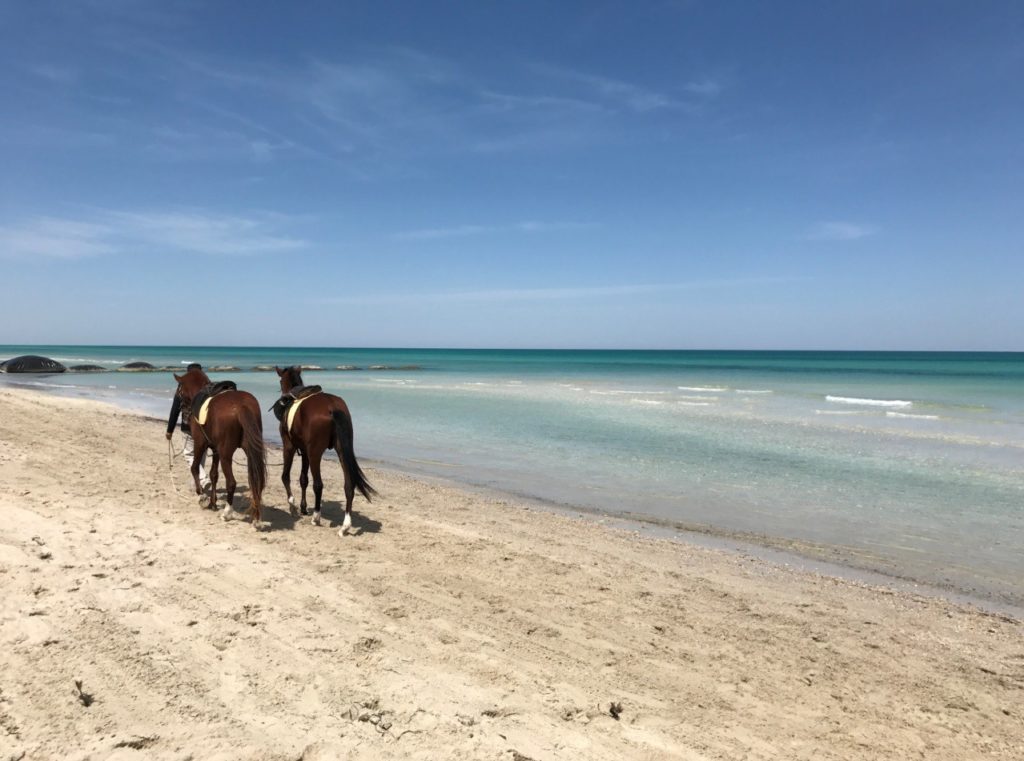 Playa de Jrba por la que pasean dos caballos sin jinetes