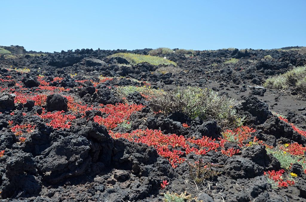 Malpaís de Güímar dónde hacer senderismo en Tenerife