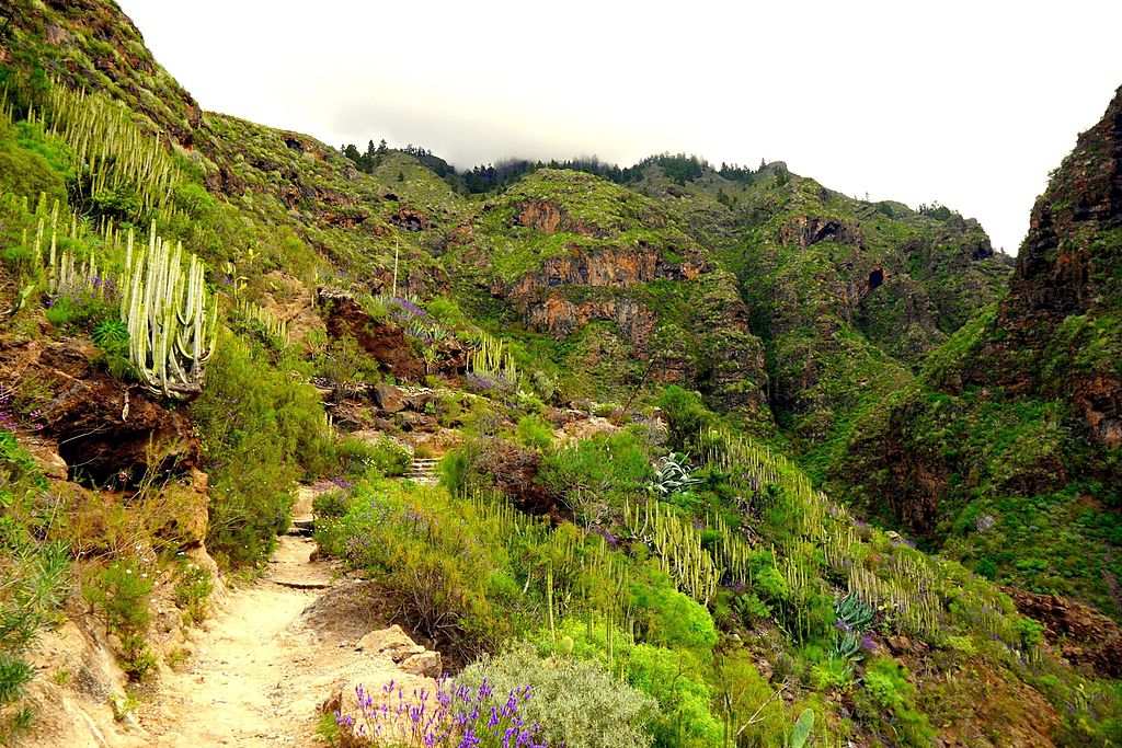barranco del infierno en Tenerife