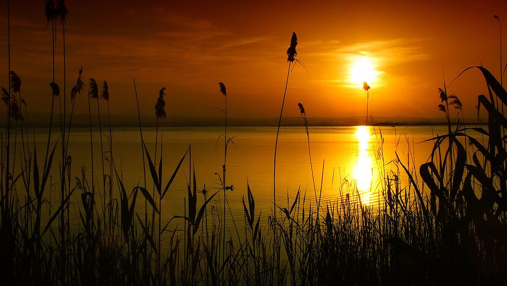 atardecer en españa en la albufera de valencia