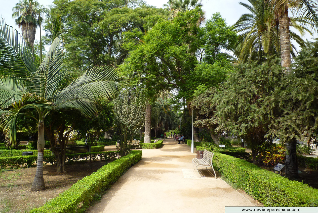 Parque de la Alameda, Parque de Málaga. / Foto: www.deviajeporespaña.com Parque de la Alameda, Parque de Málaga. / Foto: www.deviajeporespaña.com